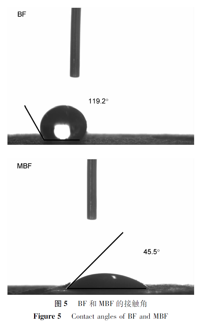 图5 Fig 5.png 图5 Fig 5.png